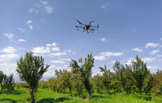 无人机助力山区产业增效、果农增收(图1)